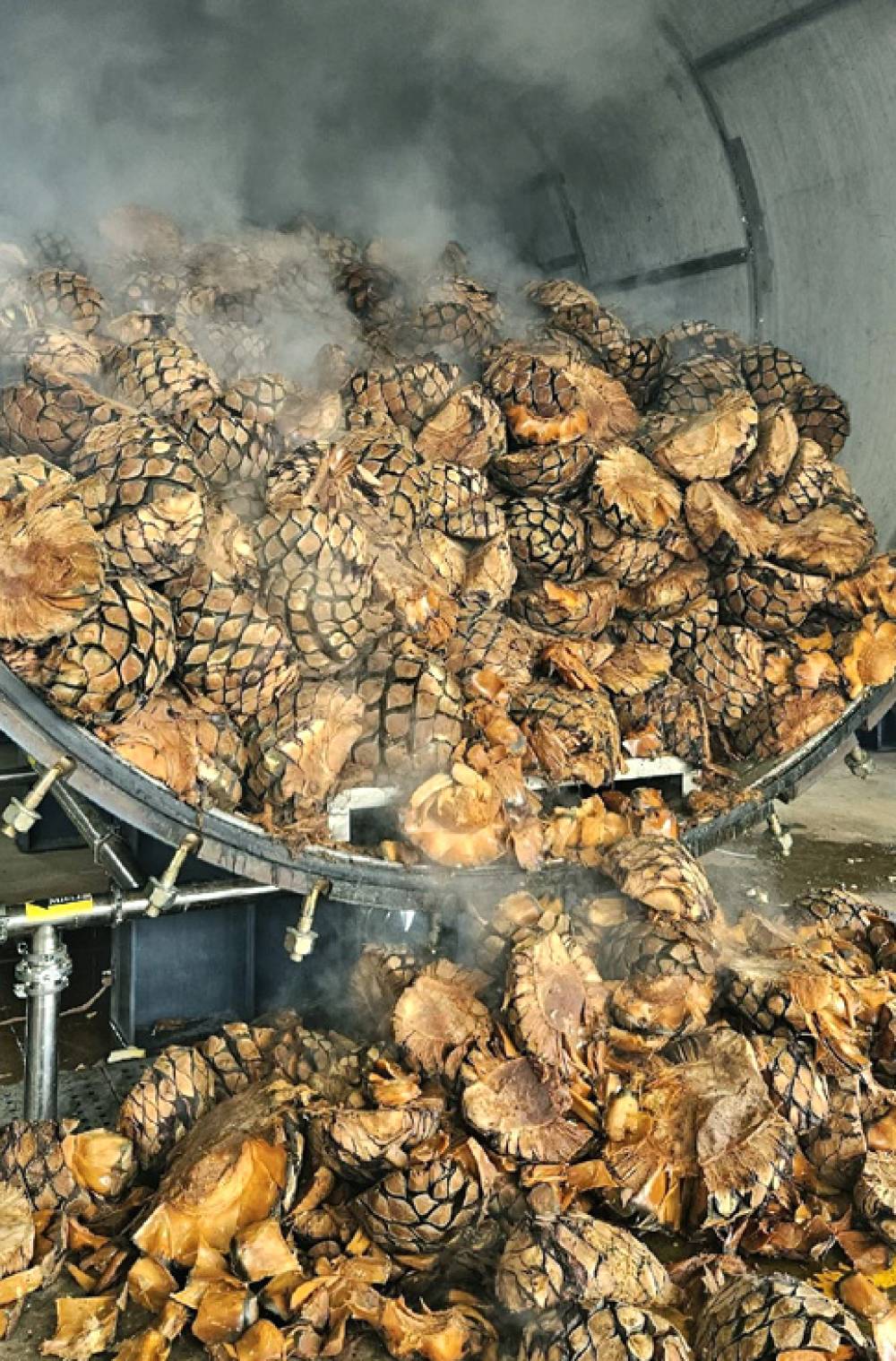 PRIMERA PRODUCCIÓN EN LA PLANTA ARTESANAL DE CASA TIERRA COBRIZA